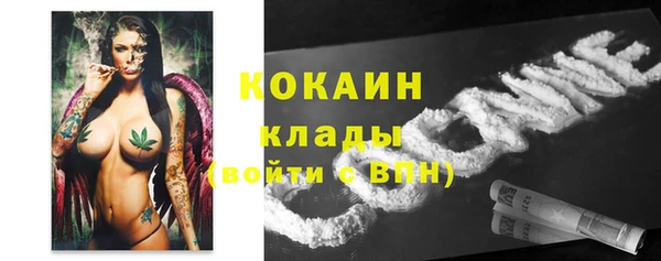 стаф Алзамай