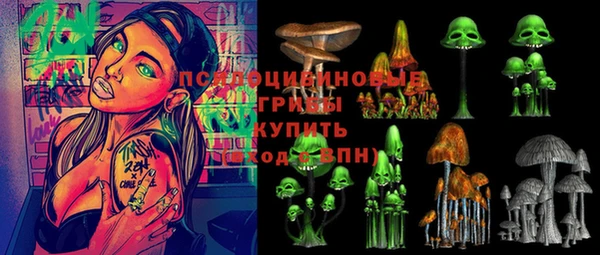стаф Алзамай