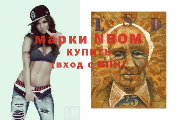 стаф Алзамай