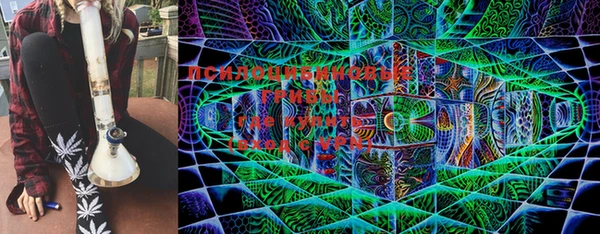 2c-b Алексин
