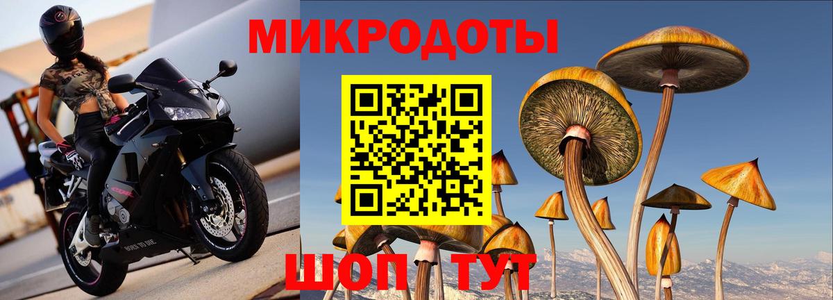 Псилоцибиновые грибы GOLDEN TEACHER Качканар